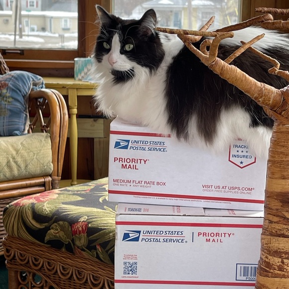 BUNDLES 2+ 15% OFF OR MORE! - Picture 2 of 3